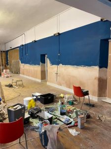 damp proofing cellar conversions