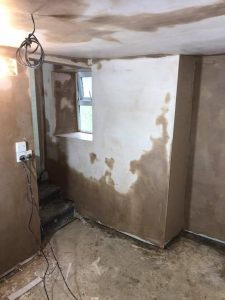 damp proofing cellar conversions