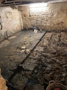 damp proofing cellar conversions